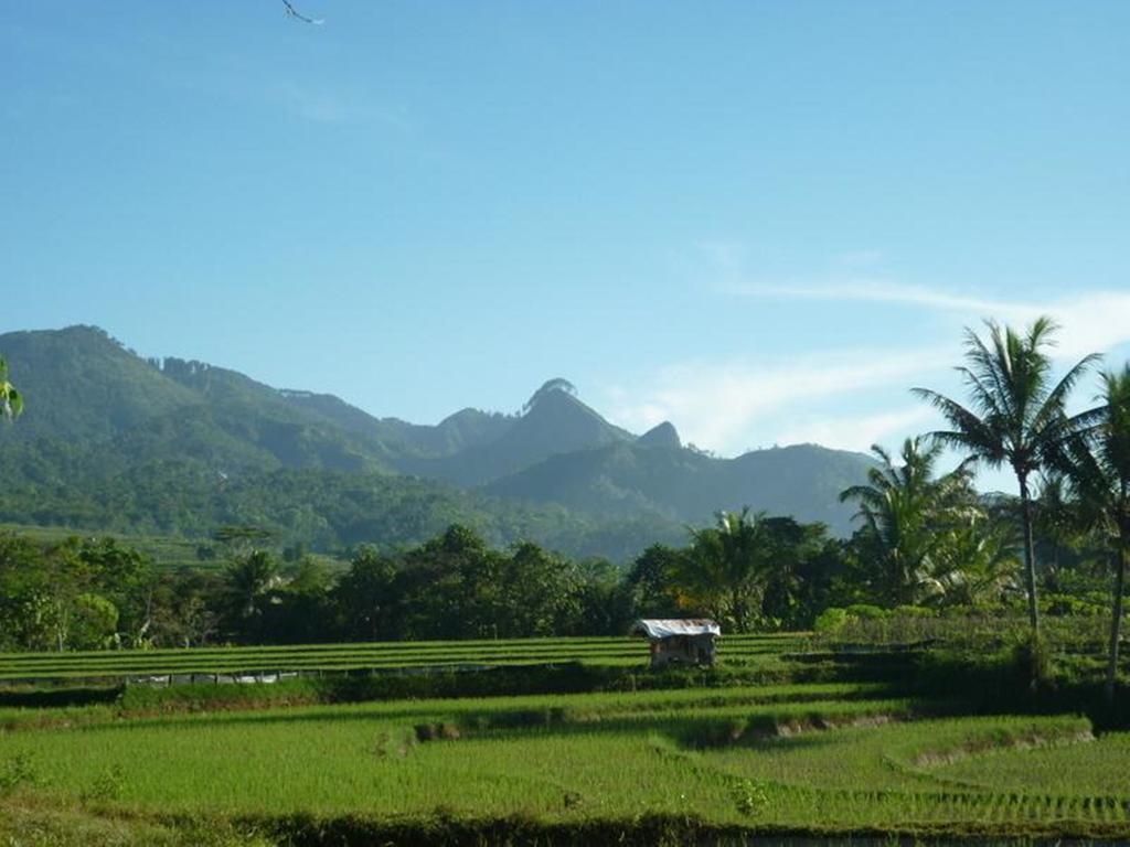 Villa Sumbing Indah Магеланг Экстерьер фото